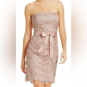 Adrianna Papell Blush Lace Midi Dress